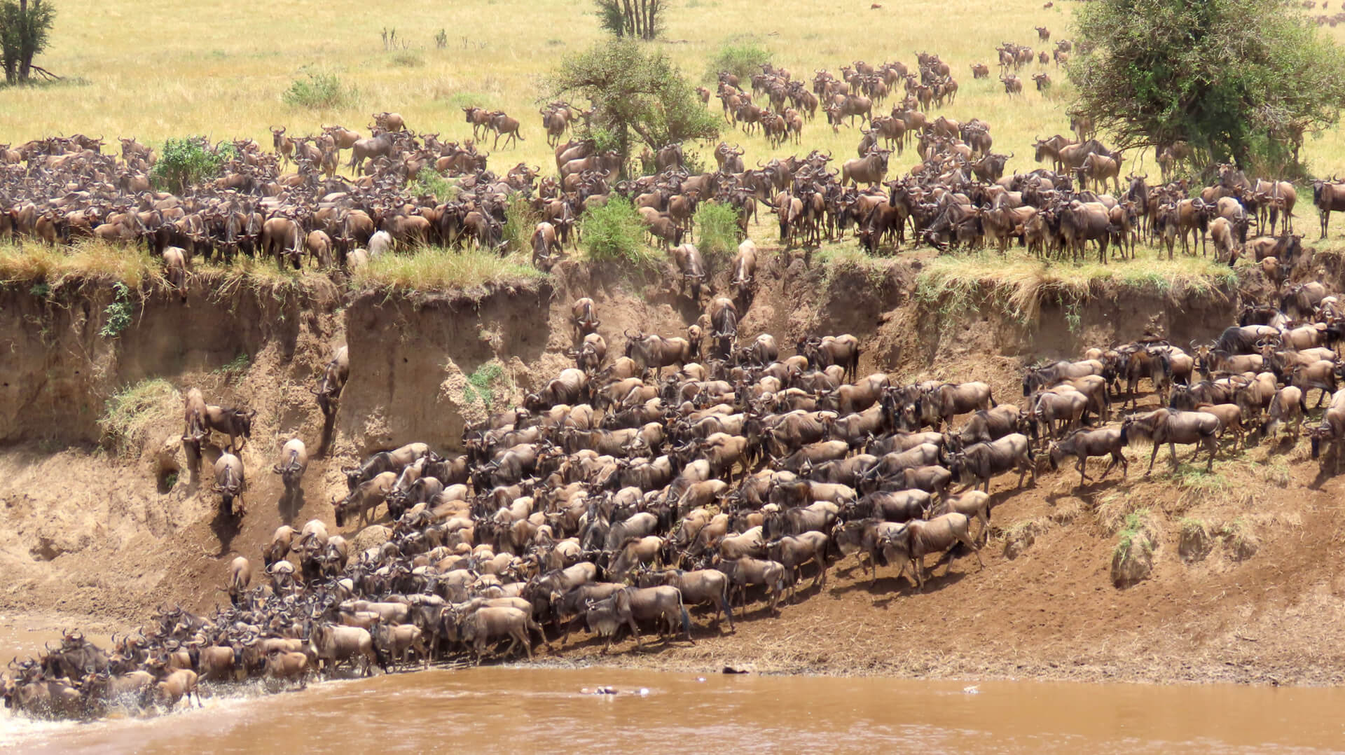 Kenya Southern Circuit - Predators Safari Club
