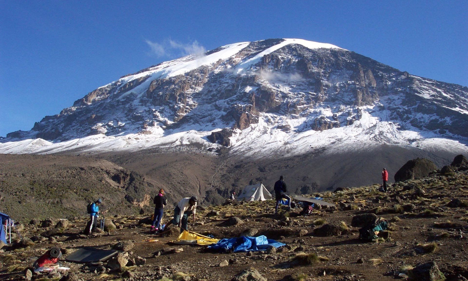 predators of kilimanjaro