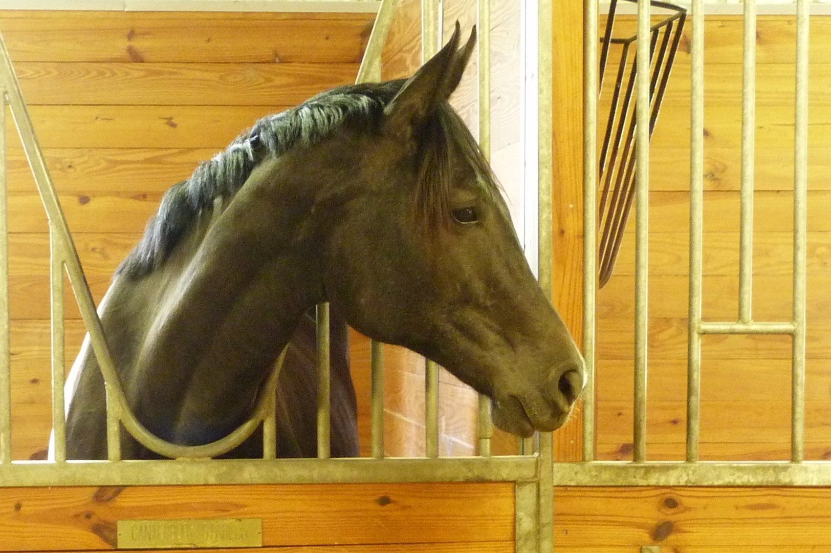 Horse Stables Cazenovia, NY