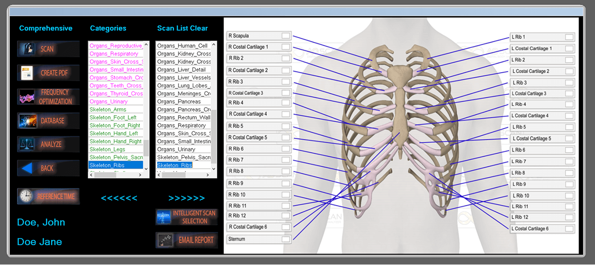 Bioresonance Body Scan