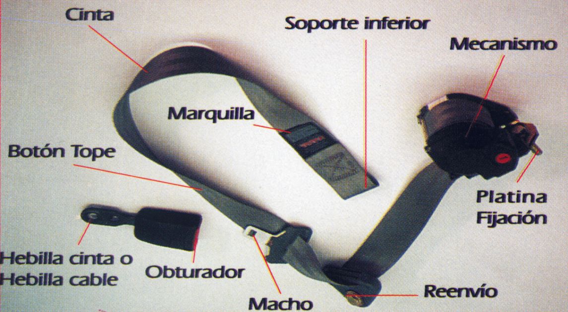 Partes De Un Cinturon De Seguridad 2439