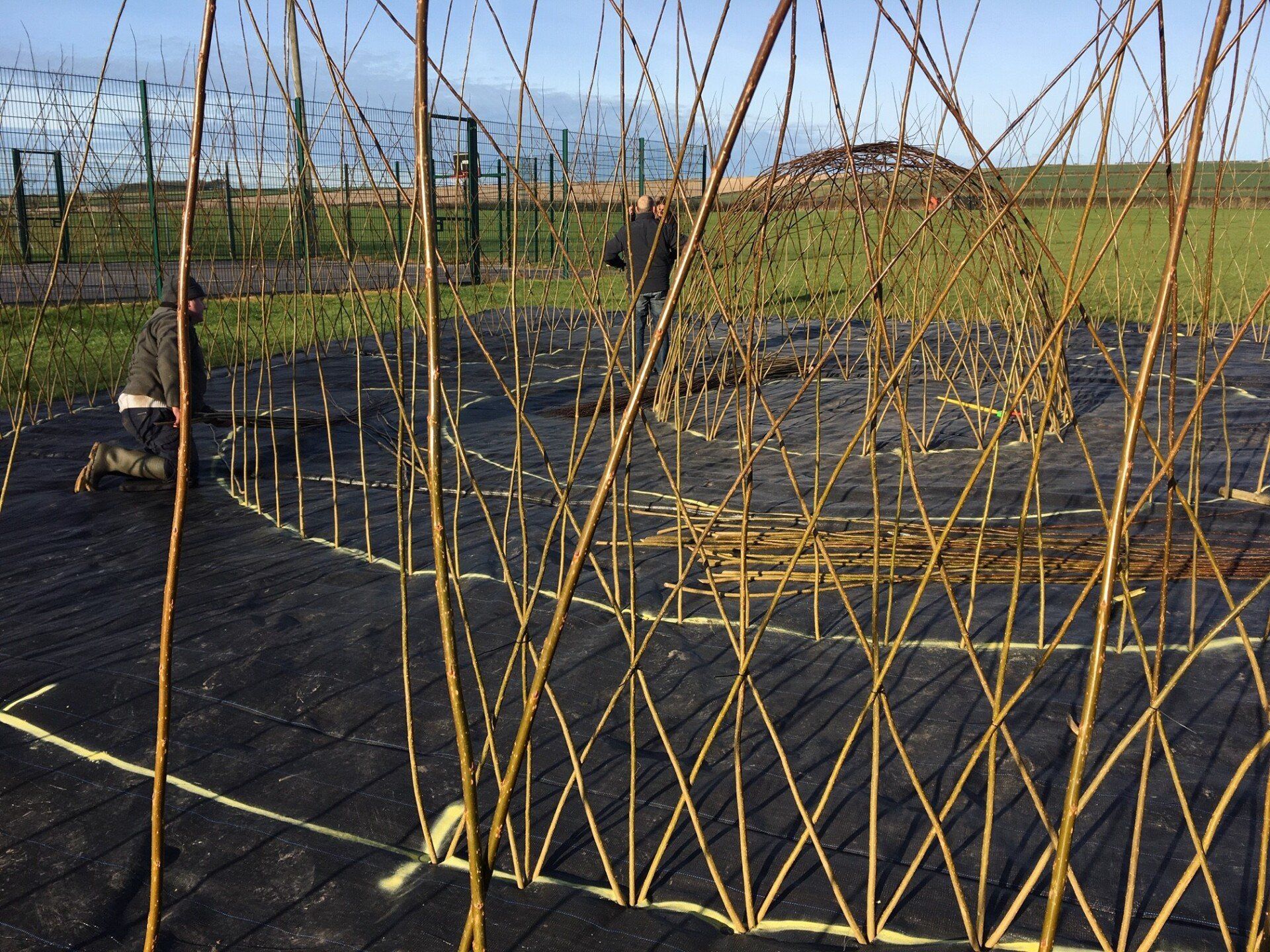 Living willow structures willow tunnel willow wigwam willow dome