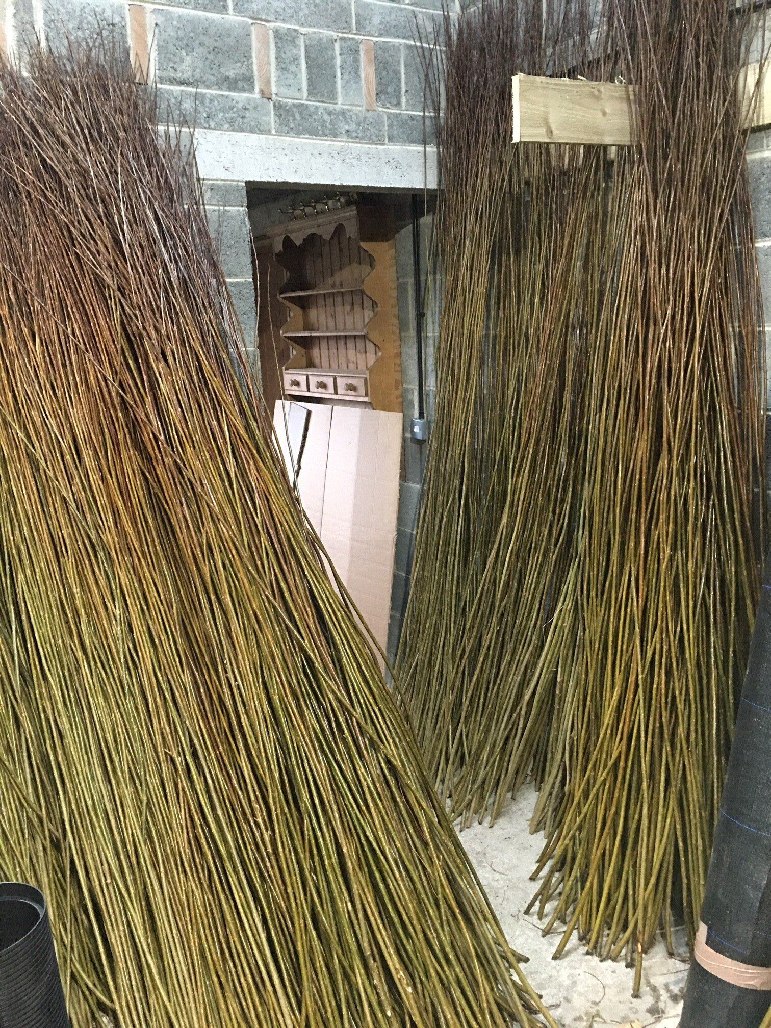Sale of Willow Cuttings Willow Rods and Living Willow Structures
