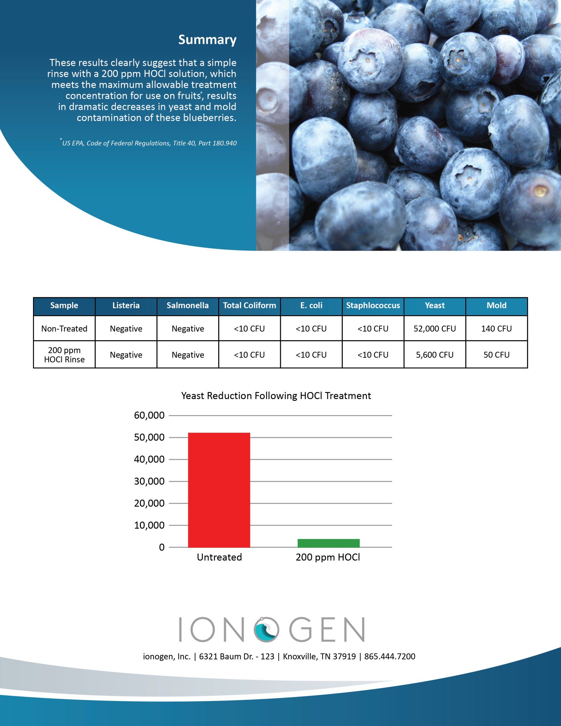 Blueberries and immune system image