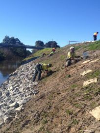 Hand Vegetation management