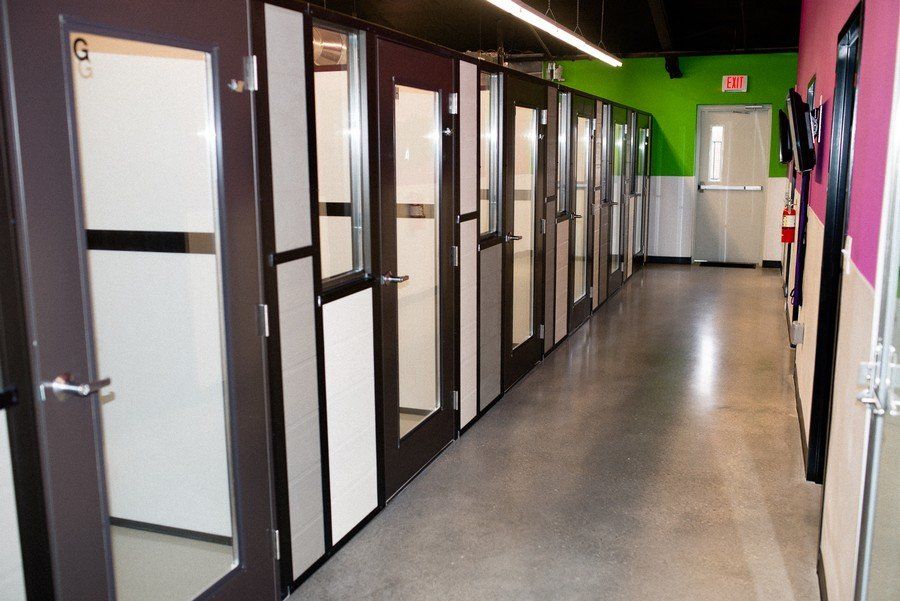 Legacy Dog Resort Gallery Frisco Texas Playcare Boarding