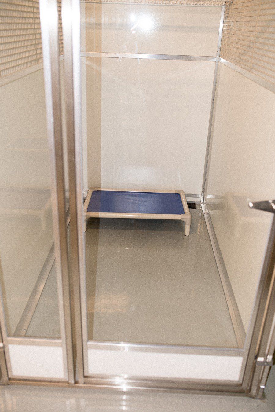 Legacy Dog Resort Gallery Frisco Texas Playcare Boarding