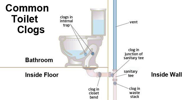 clogged toilet drain