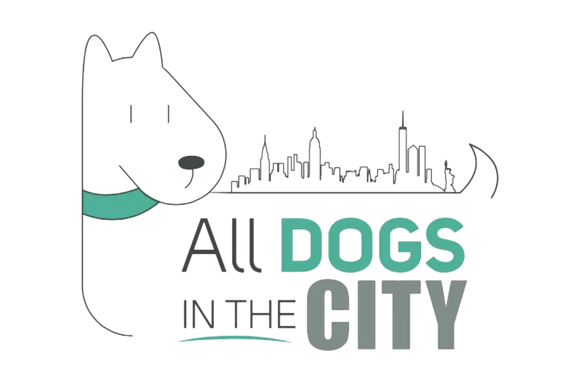 All Dogs In The City - Astoria, NY