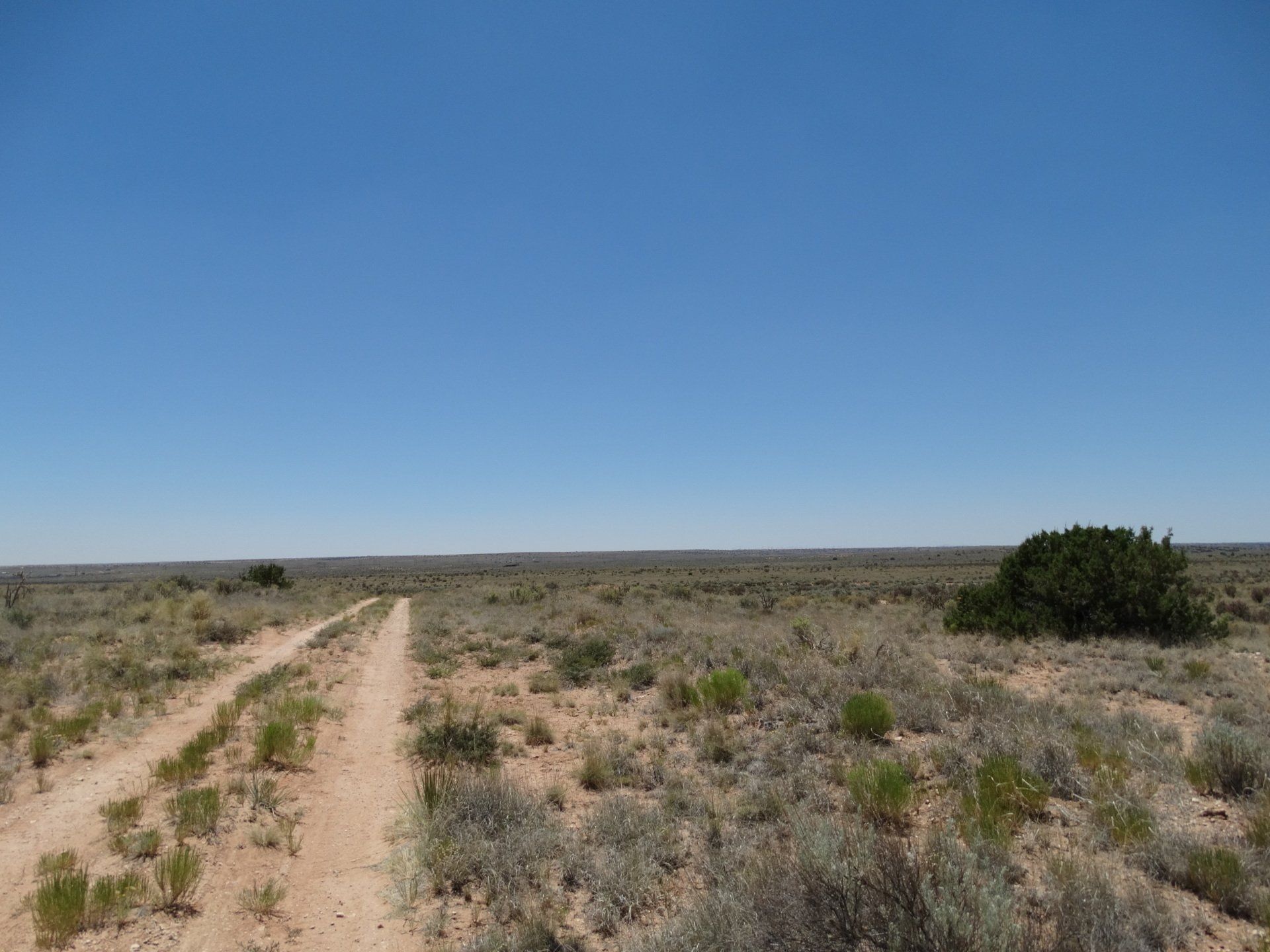 New Mexico Land for Sale | Undeveloped Property | Rio Rancho Estates