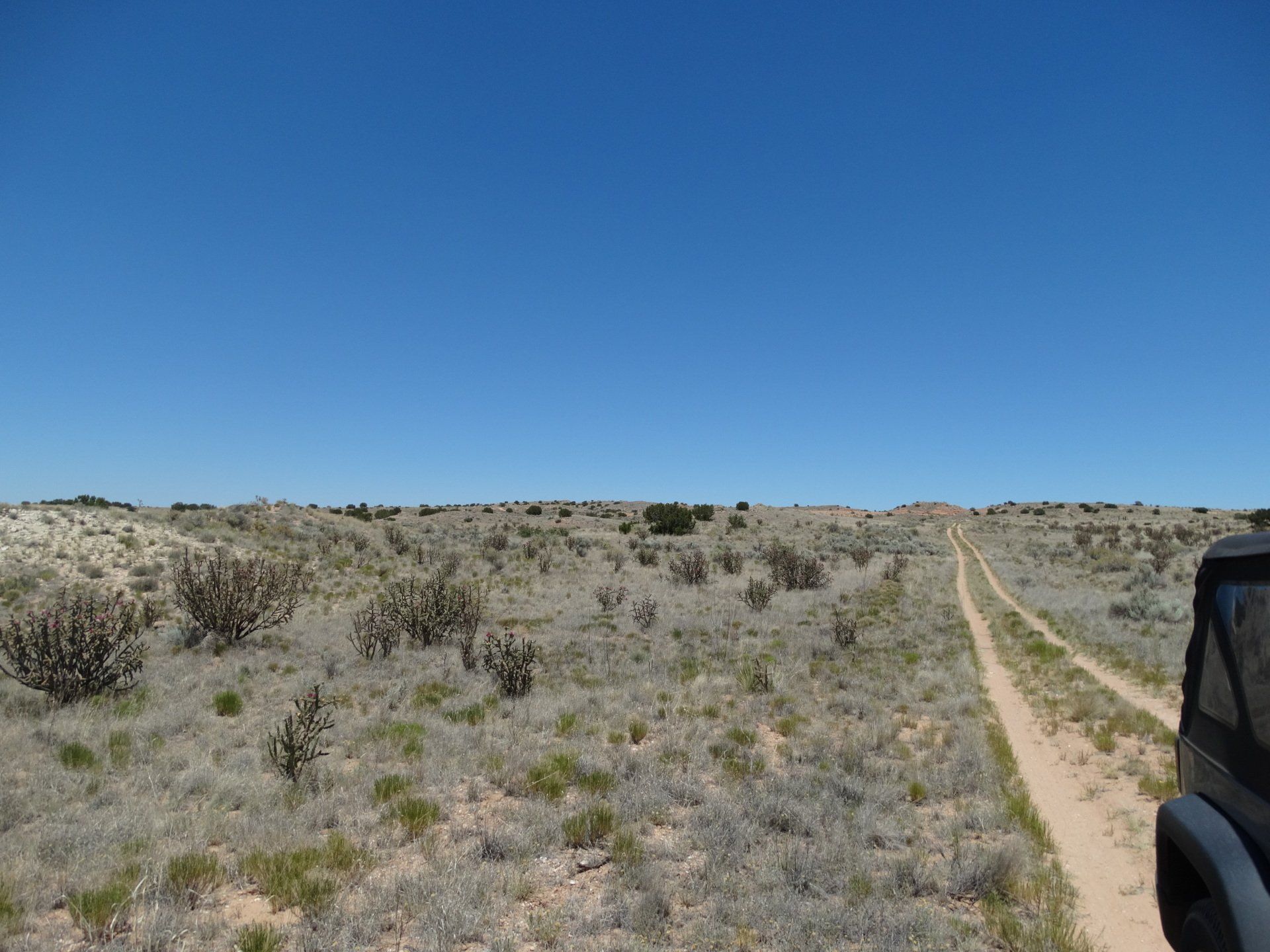 New Mexico Land for Sale Undeveloped Property Rio Rancho Estates