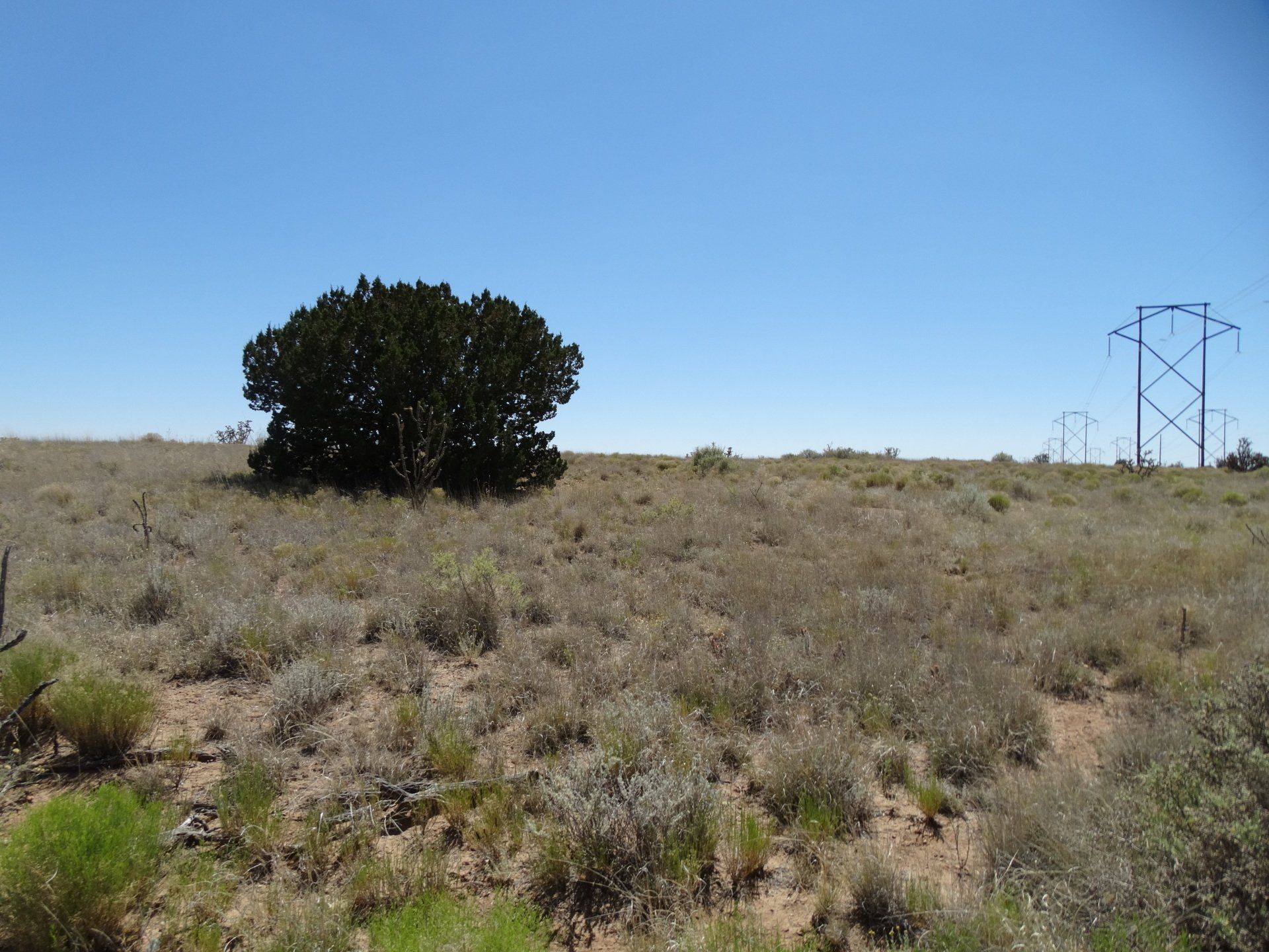 New Mexico Land for Sale Undeveloped Property Rio Rancho Estates