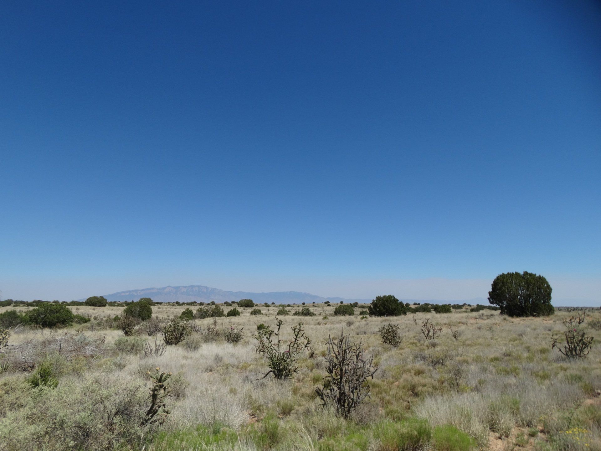 New Mexico Land for Sale Undeveloped Property Rio Rancho Estates