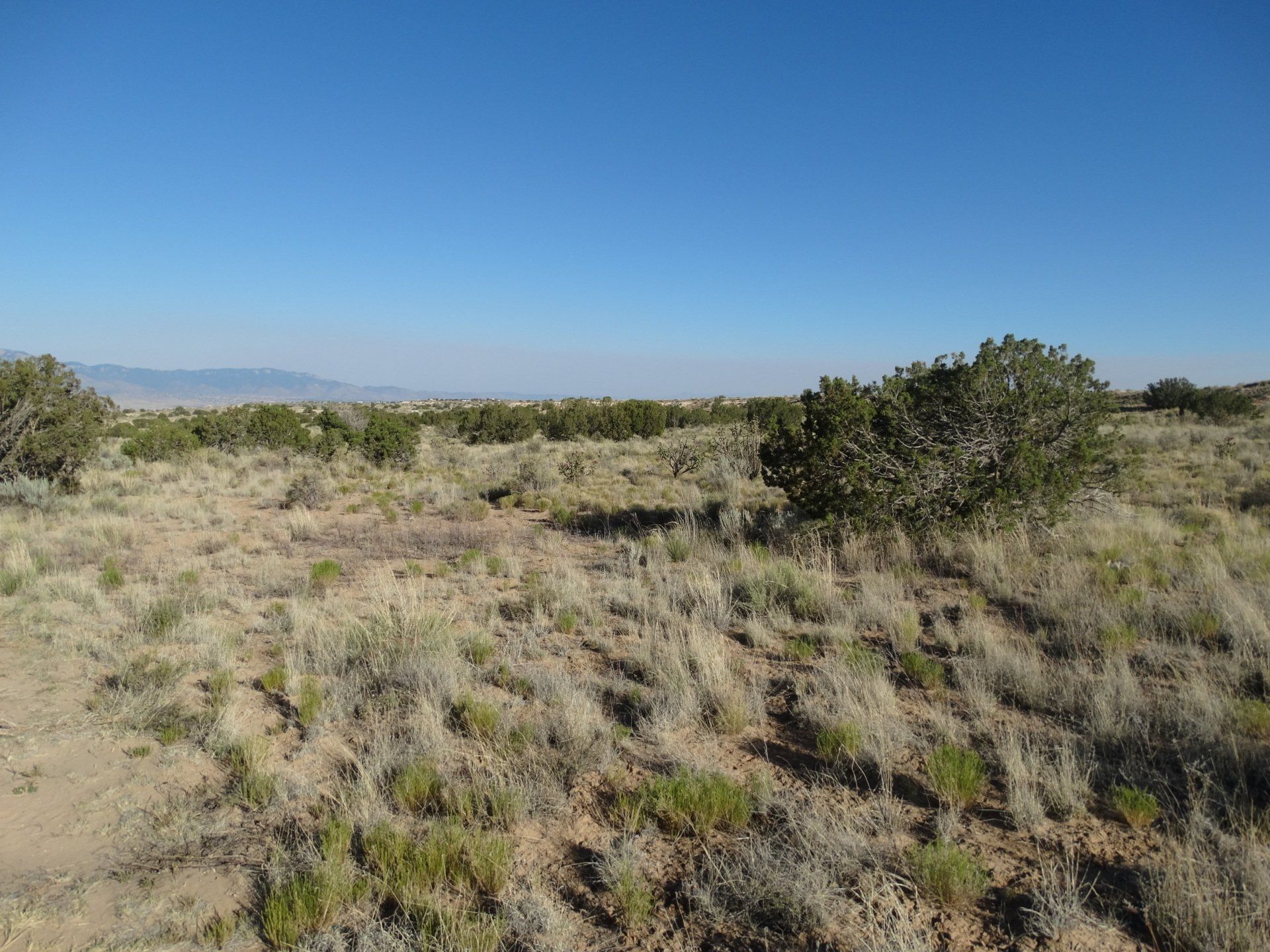 New Mexico Land For Sale 