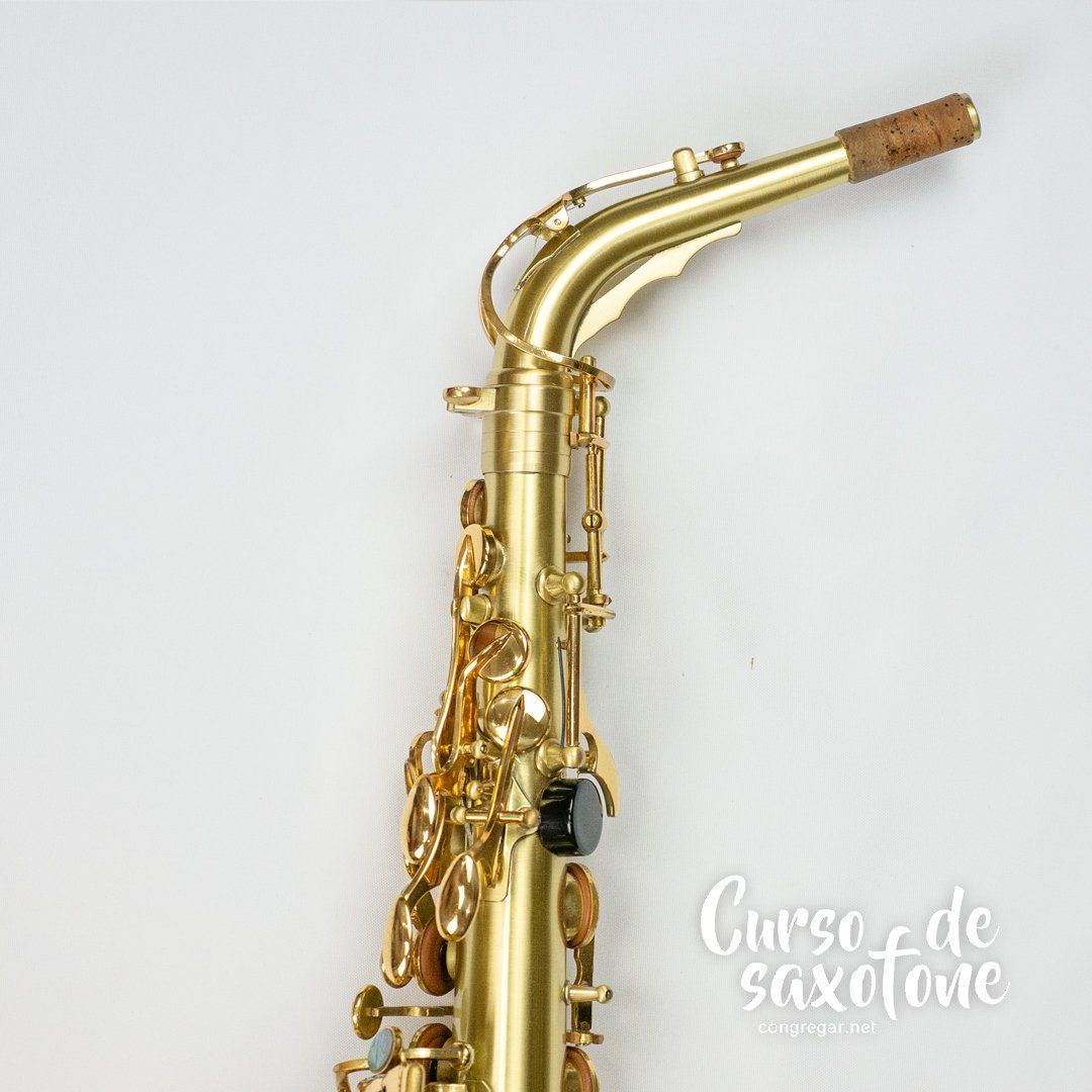 Sax Alto - Meridian - Review