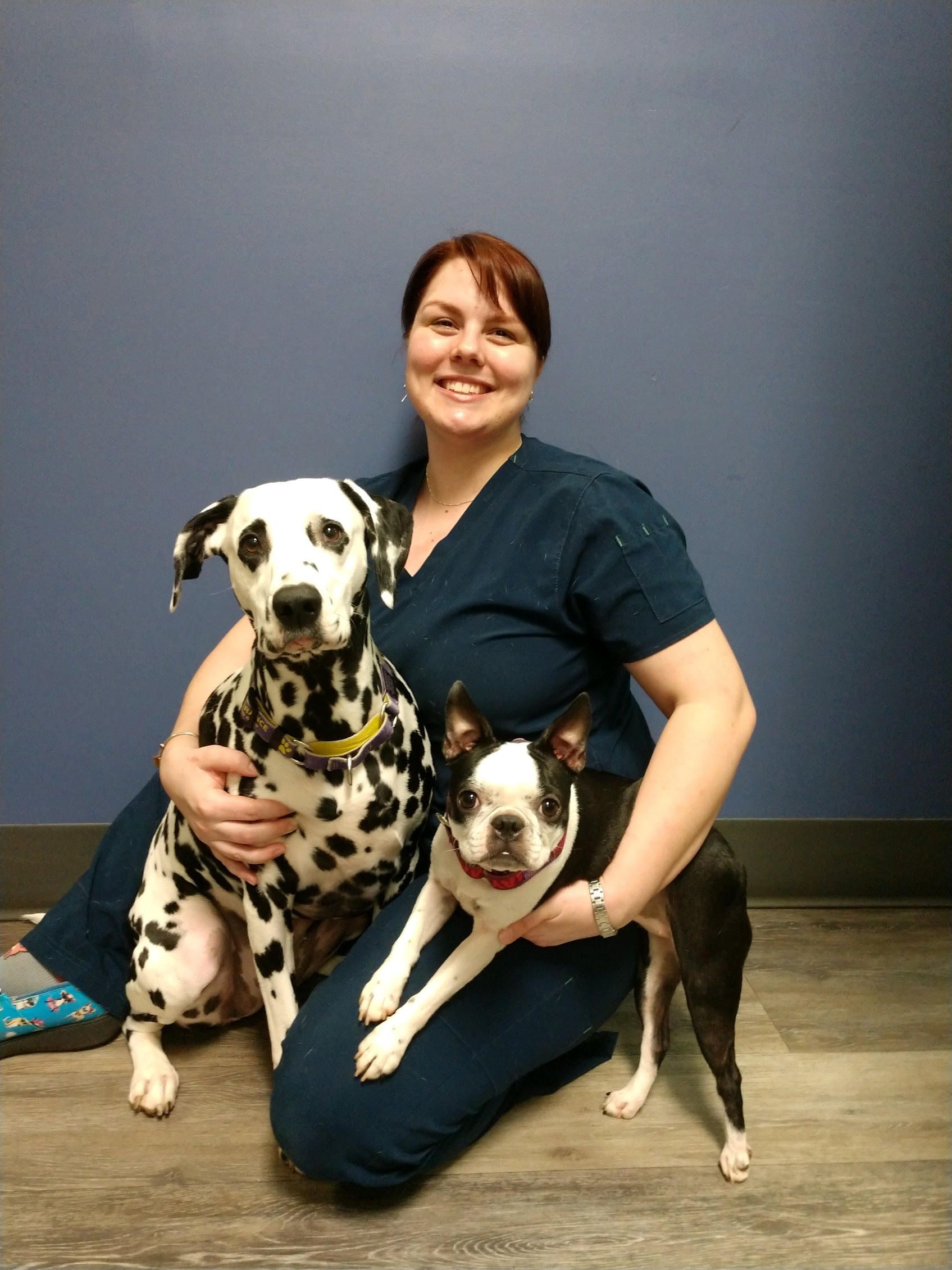 Veterinarians | Mebane, NC | Mebane Pet Clinic