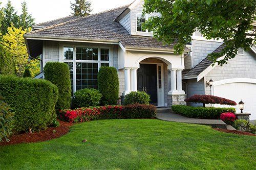 Not Sure About Landscaping With Evergreens The Pros And Cons Landscaping With Evergreens