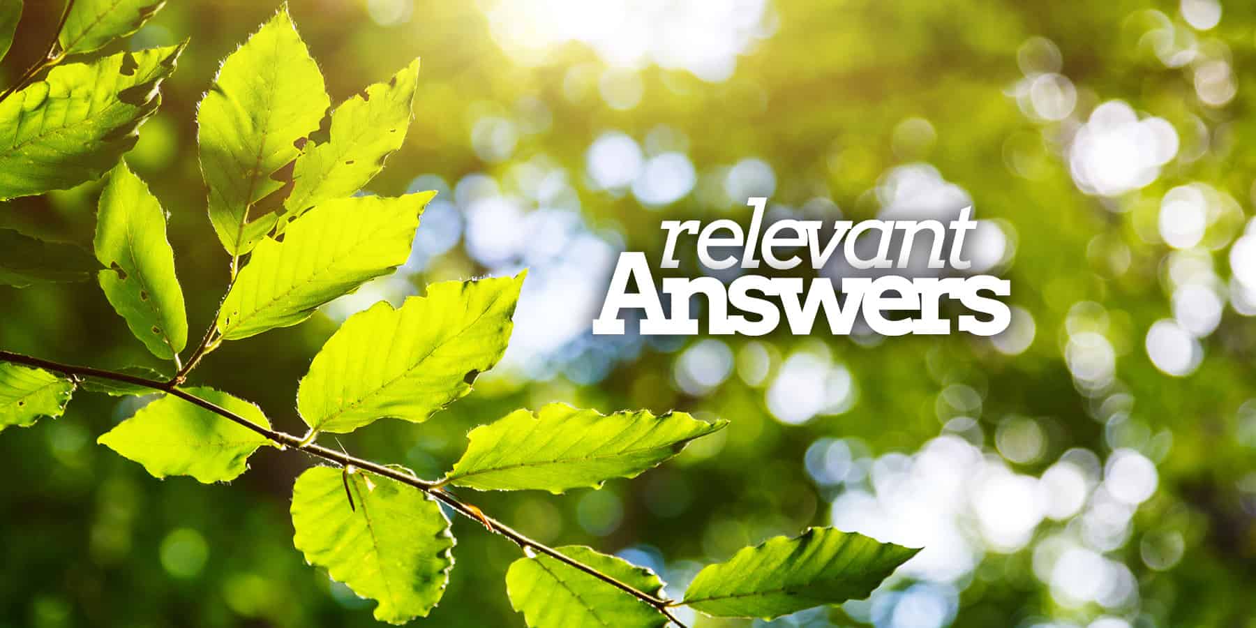 Belmont Bible Church Downers Grove, IL