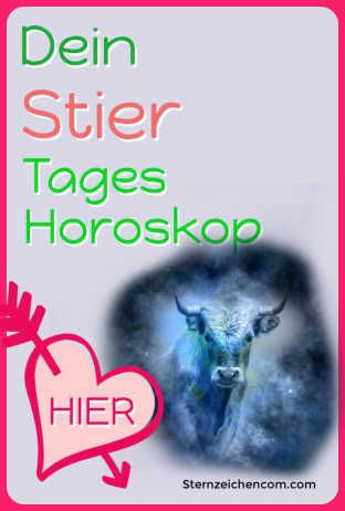 Stier frau erobern