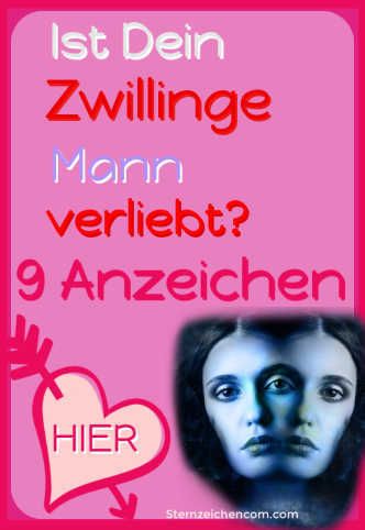 Widder Und Zwilling