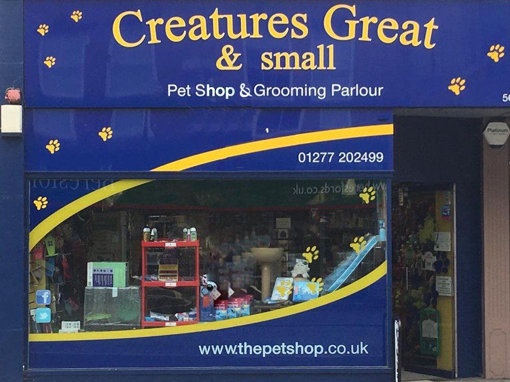 Creatures Great & Small Ltd, a Family owned pet store in Brentwood and