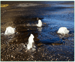 Blocked Drains Essex