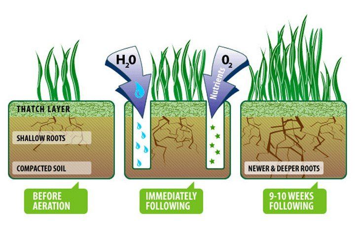 the-aeration-process