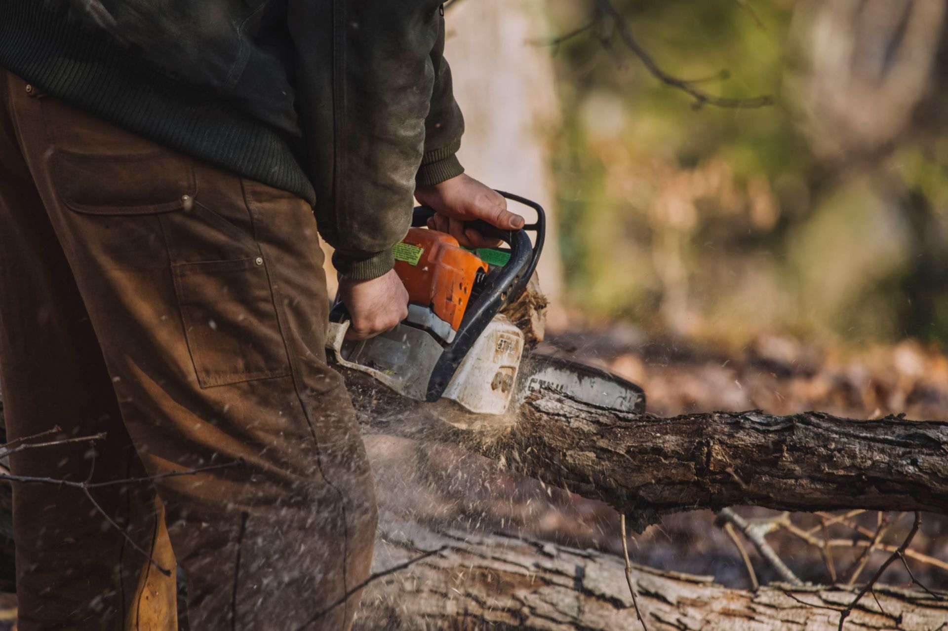 Tree Service in Chattanooga, Tennessee Lumberjacks Tree