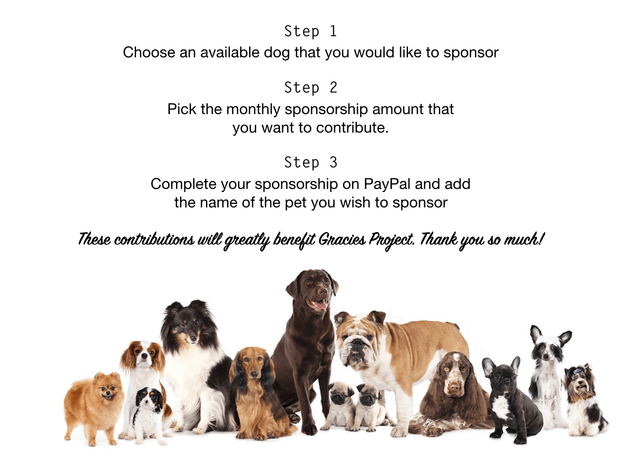 sponsor a dog