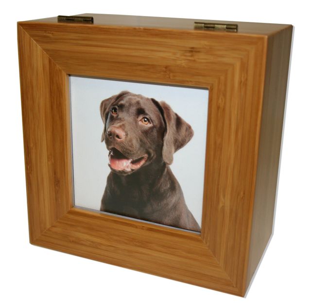 individual pet cremation cost