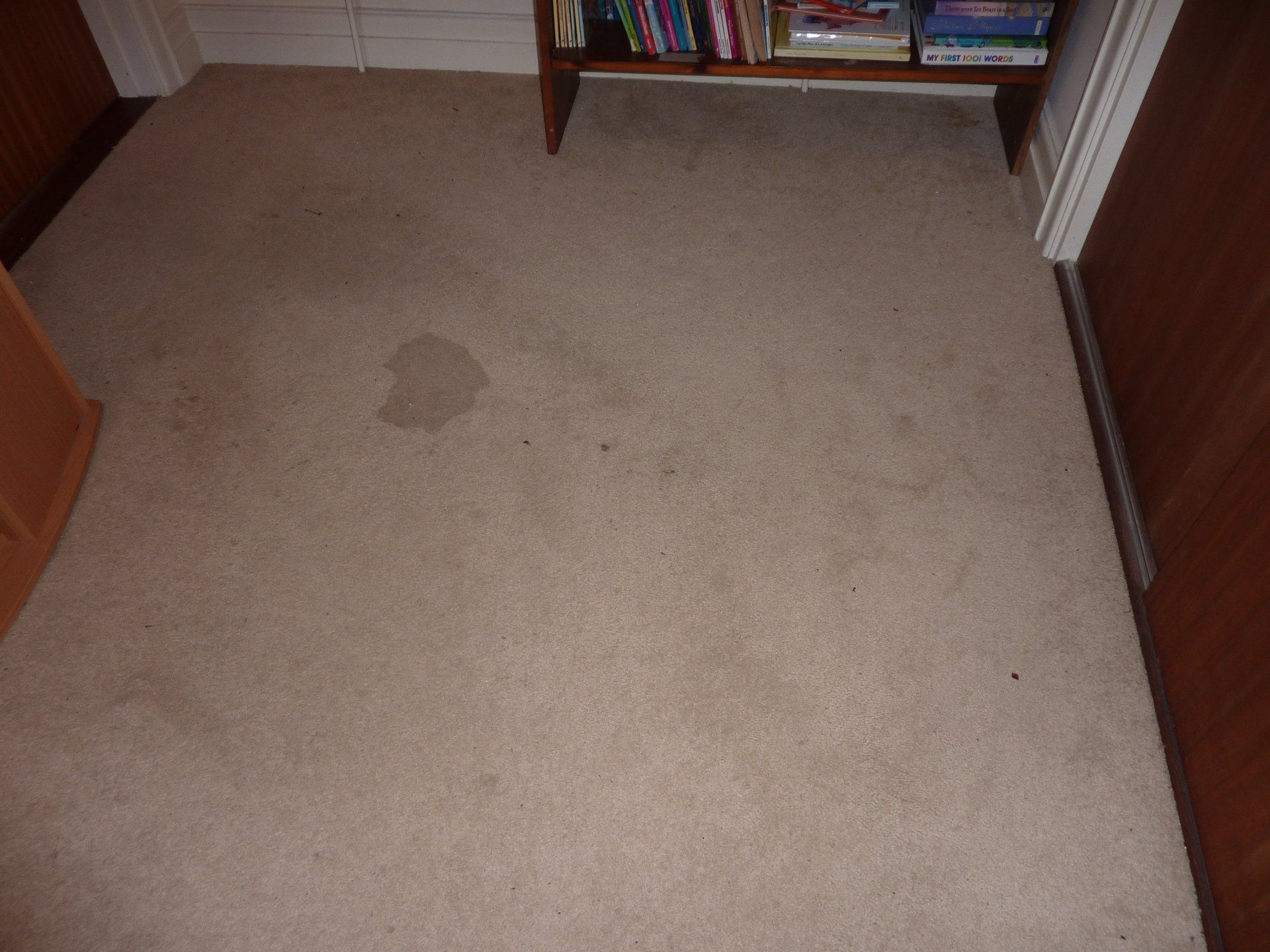 Carpet soil wicking removal Colchester Essex