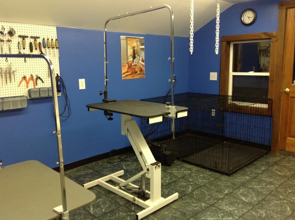 Top of the Hill Kennels Facilities Boarding Grooming Doggie Daycare