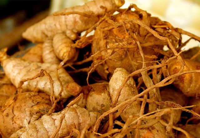 la curcuma uccide i parassiti