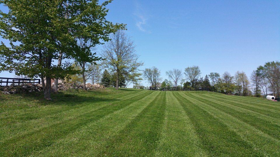 Landscaping Pine Bush, NY Creative Touch