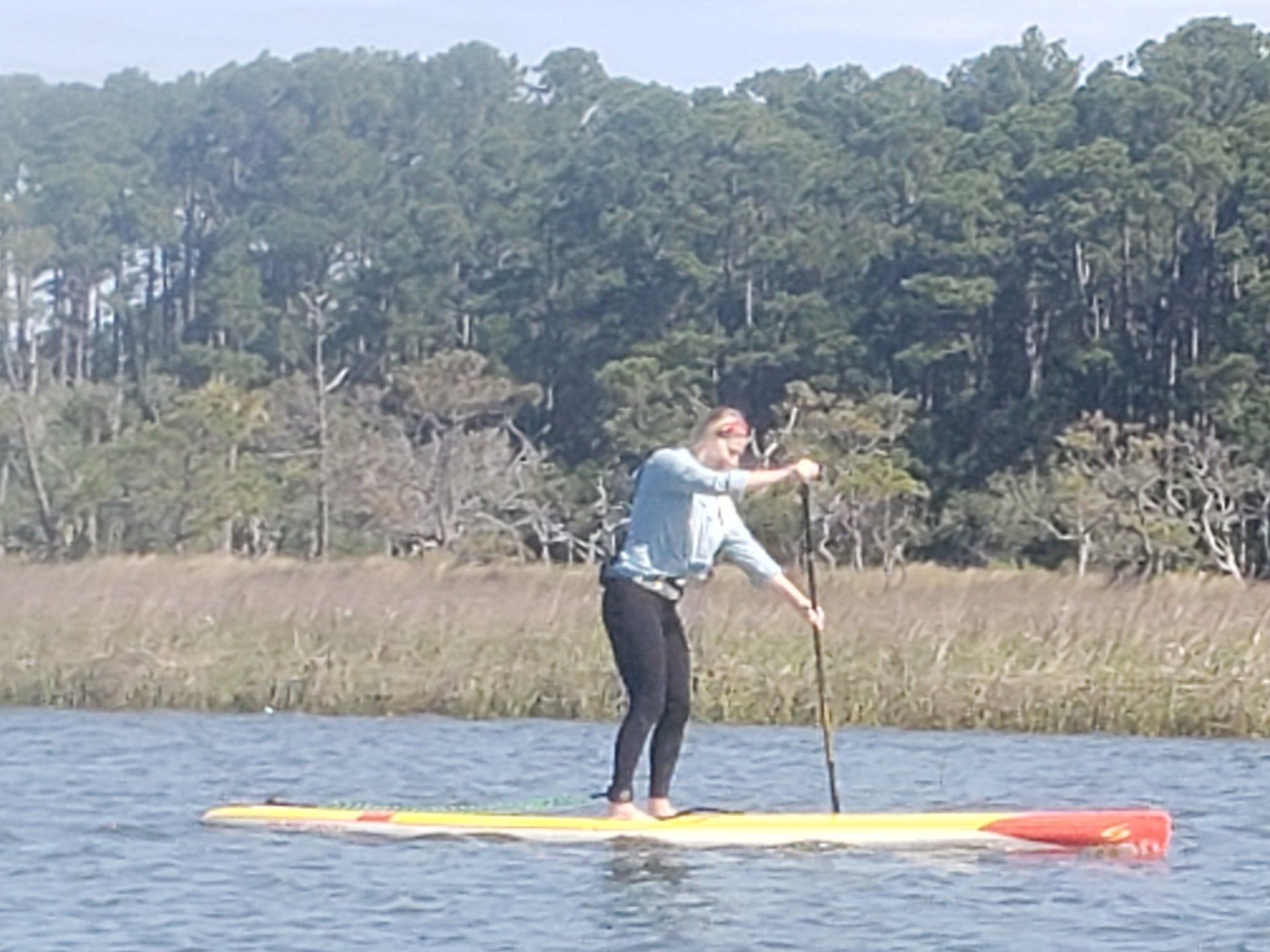 Beaufort Kayak Tours