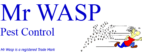 Safe And Effective Pest Control Services Mr Wasp