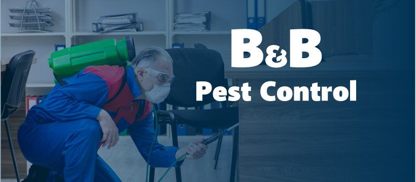 Pest Control In Mississippi | B&B Pest Control