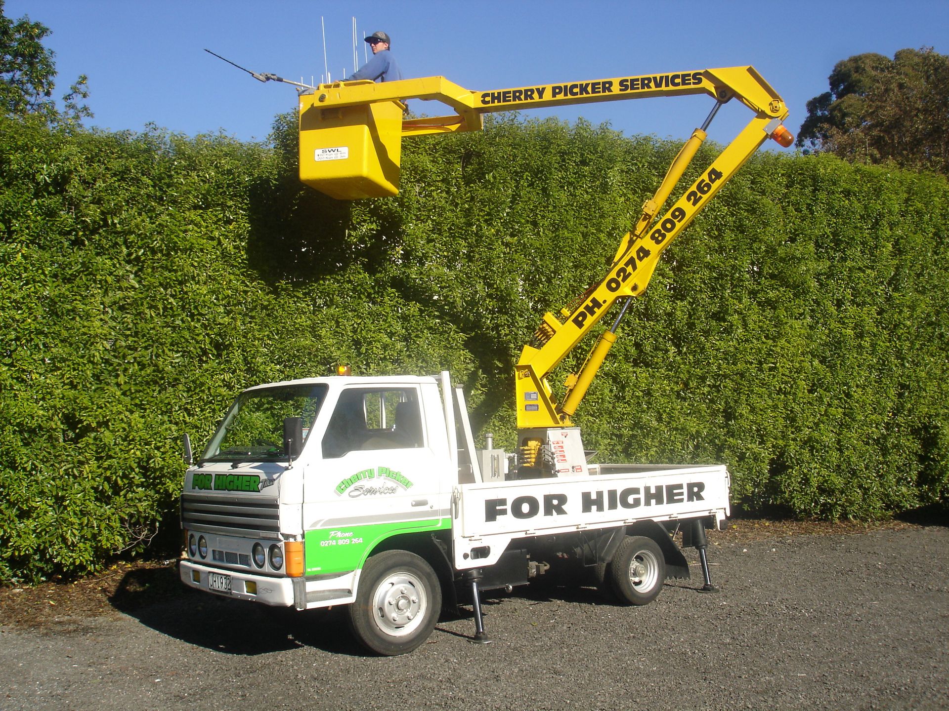 Gallery Tree Fellers