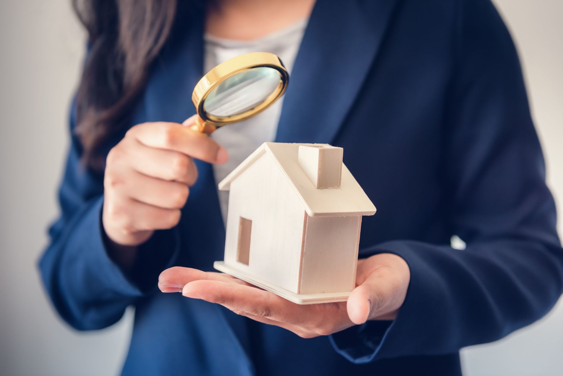 indagini professionali