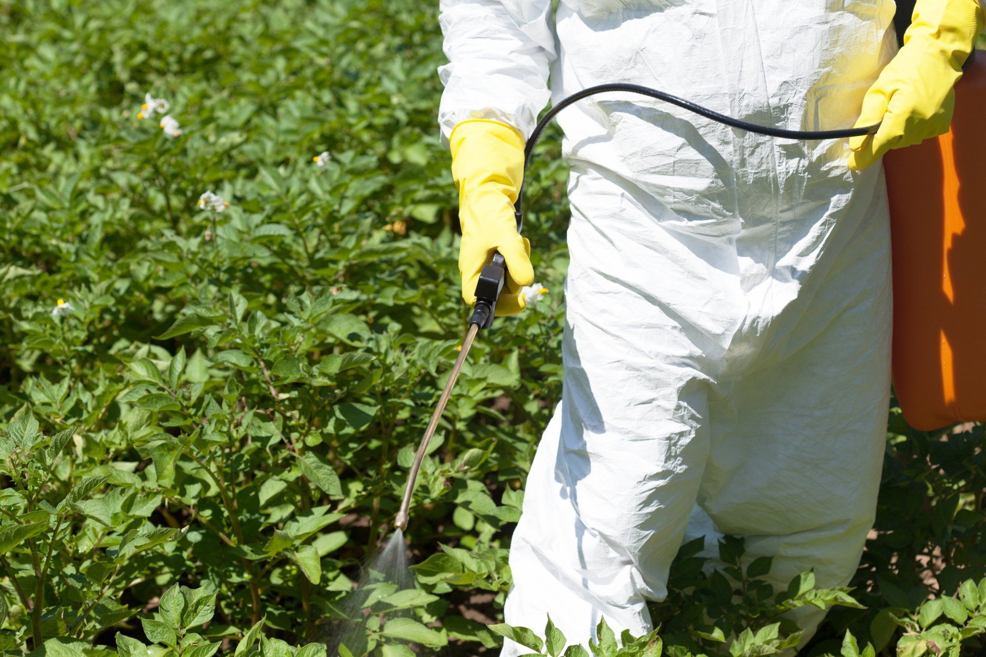 your-complete-guide-to-understanding-herbicides