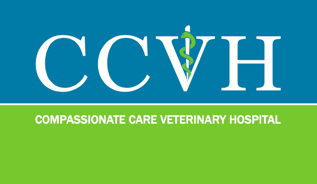 blue care animal hospital