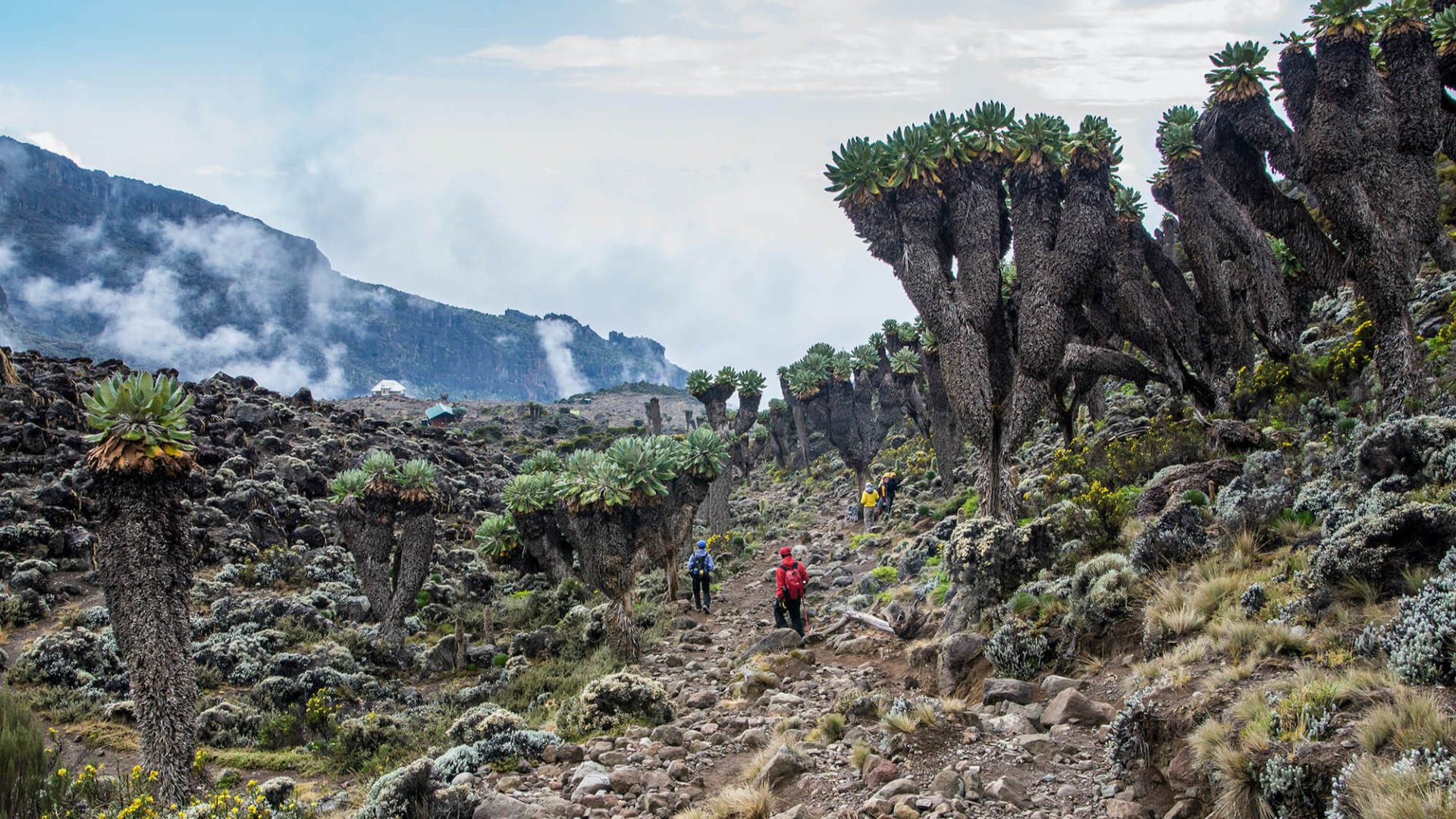 Kilimanjaro Machame 7-Day Route - EXplore Plus Travel & Tours