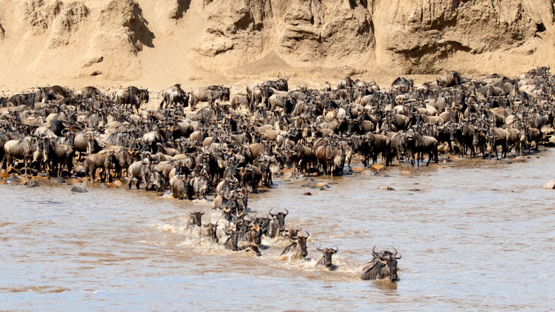 North Serengeti Migration Safari in Tanzania - eXplore Plus