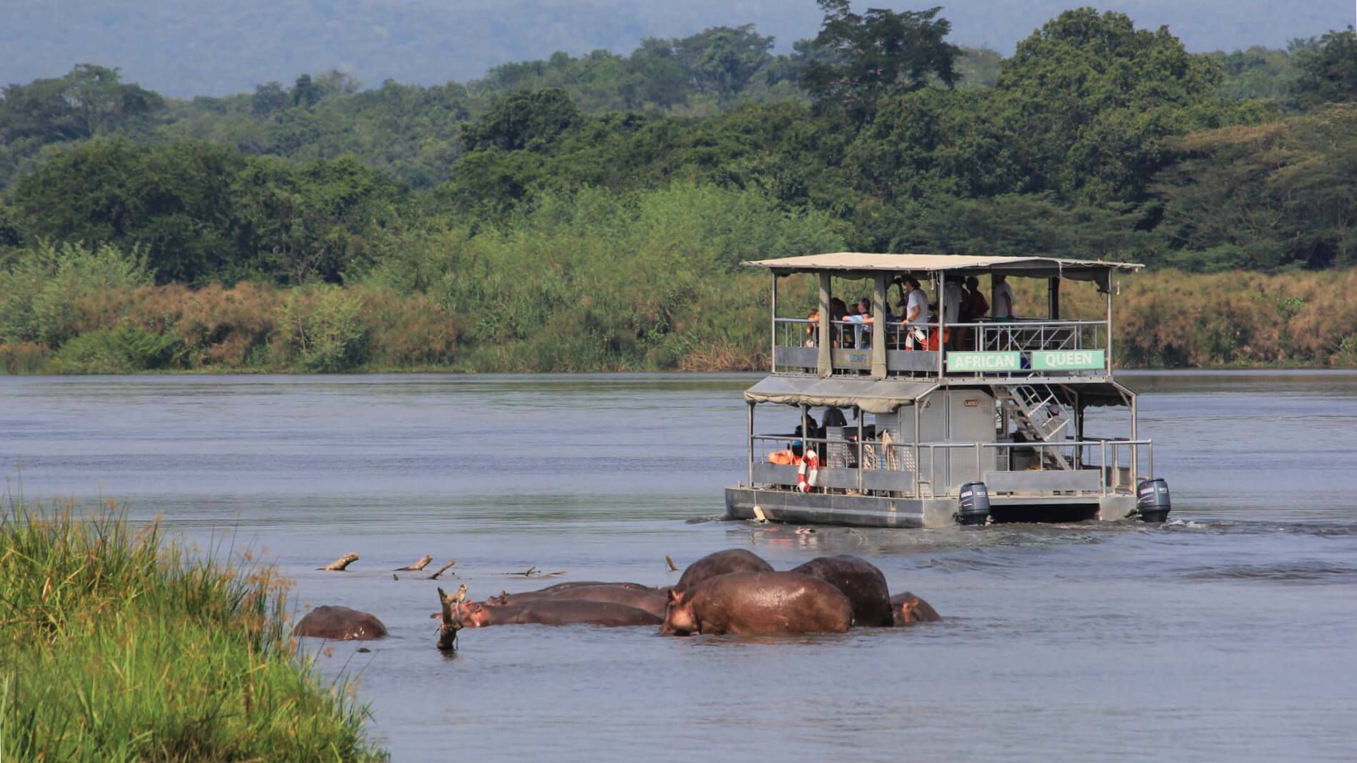 uganda safari in february