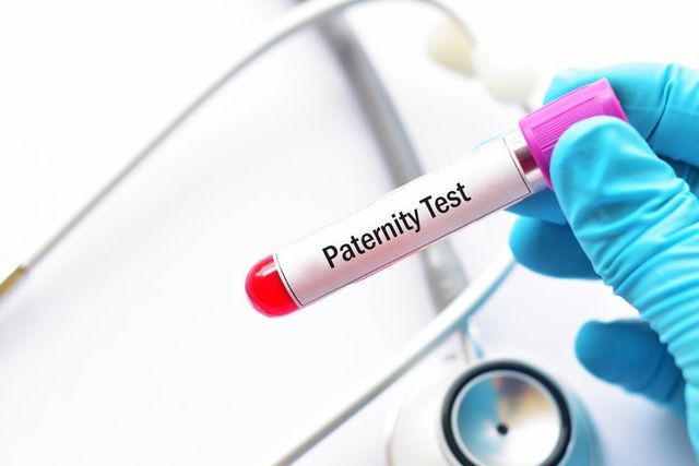 paternity lawyer