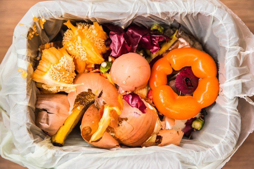 The Importance of Food Waste Recycling