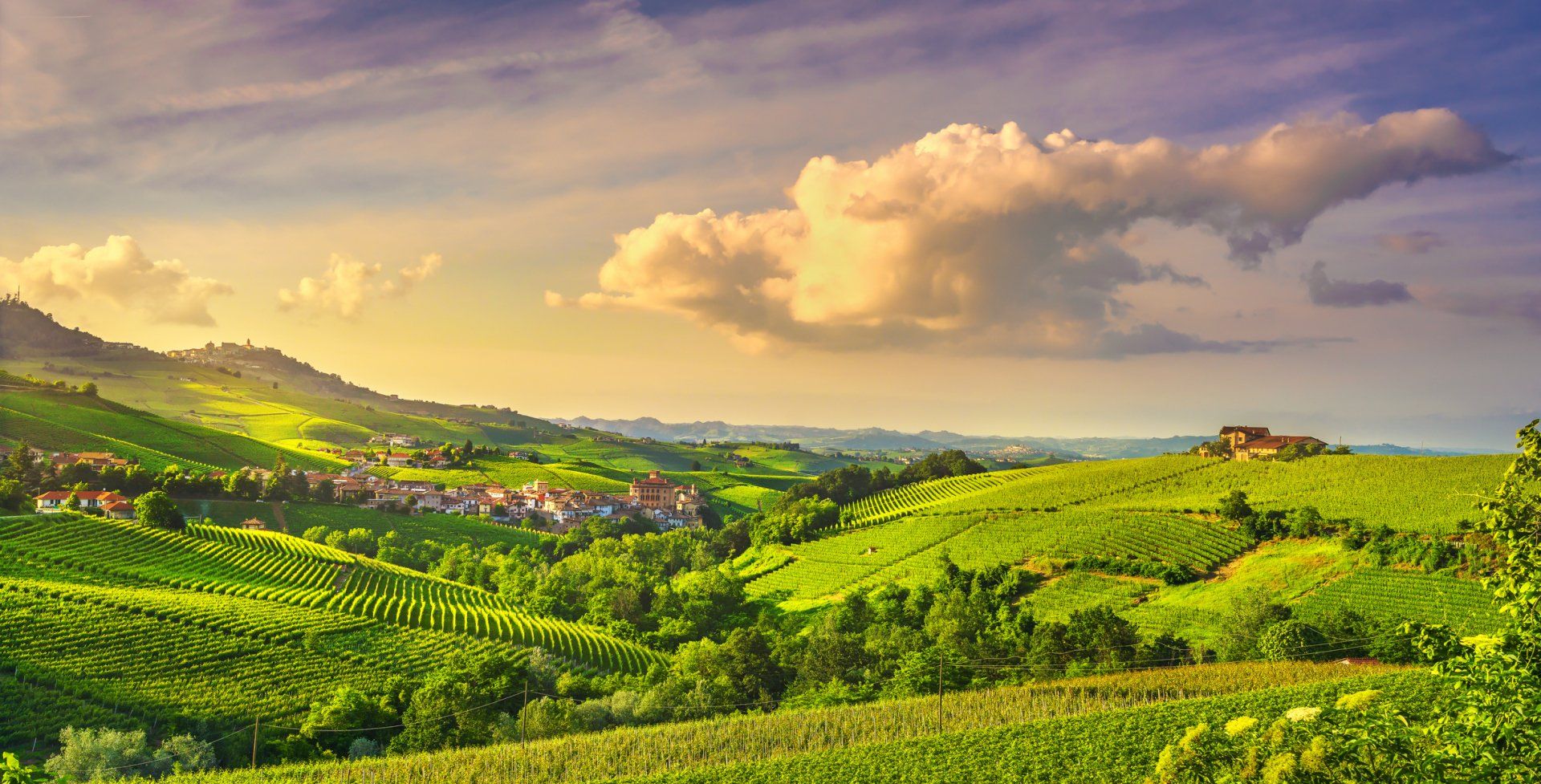 Camping Sole Langhe — photo 4
