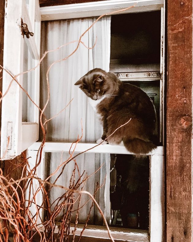 The Ramos House Café San Juan Capistrano CA