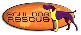 Soul Dog Rescue