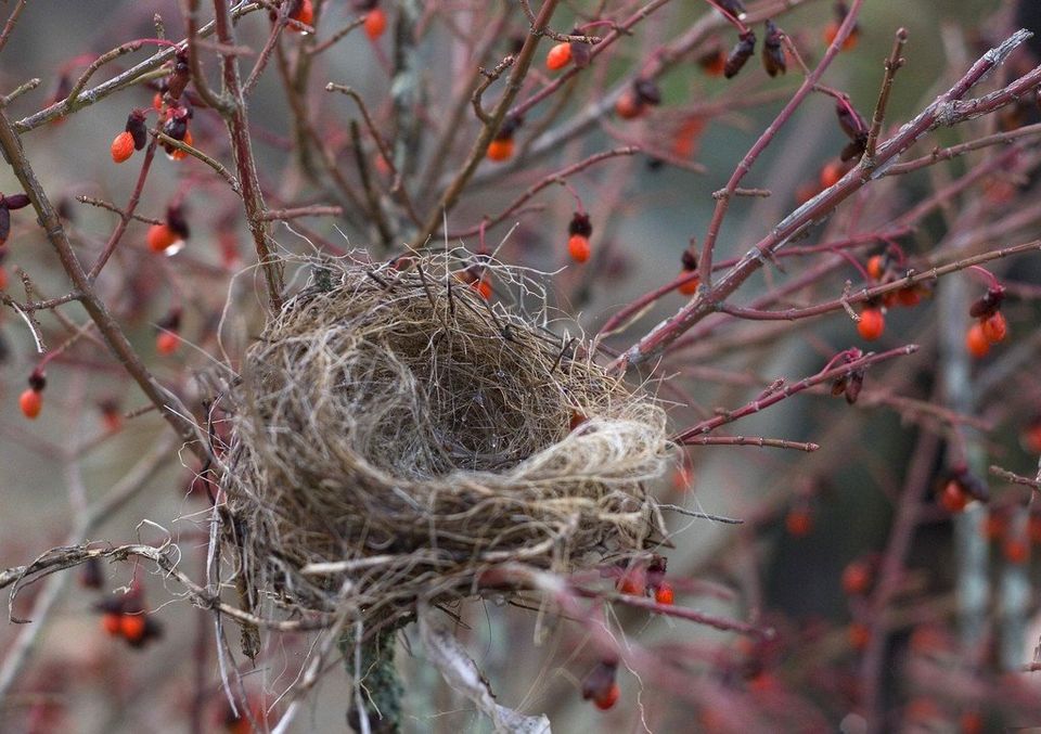 empty-nester-stock-photo-download-image-now-education-savings